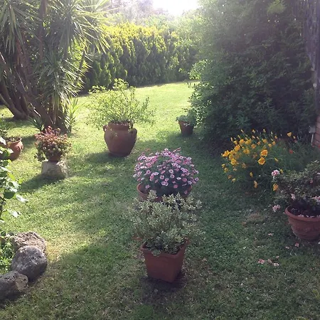 In Maremma